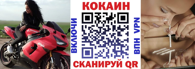 дарк нет наркотические препараты  Лысково  Кокаин FishScale  купить наркоту 