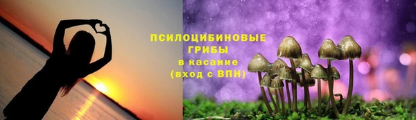 молекула духа Алексеевка