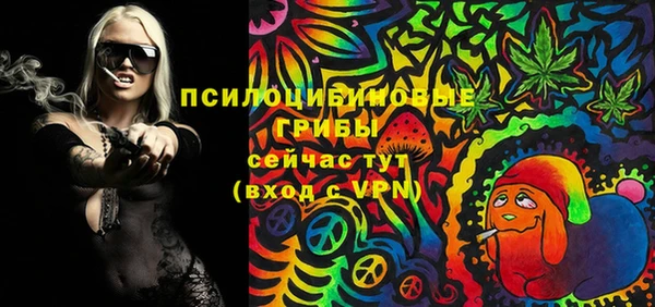 молекула духа Алзамай