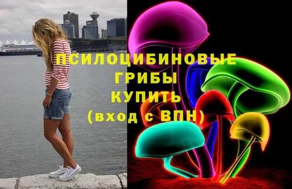 бошки Абаза