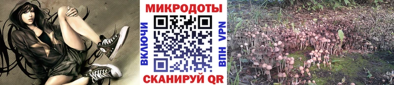 Галлюциногенные грибы GOLDEN TEACHER  наркотики  Лысково 